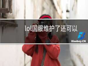 lol国服维护了还可以玩什么服