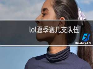 lol夏季赛几支队伍