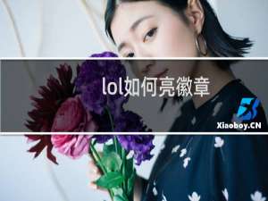 lol如何亮徽章