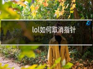 lol如何取消指针