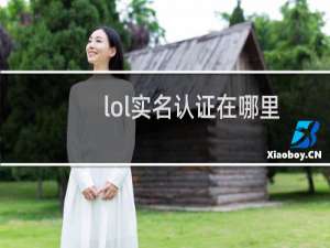 lol实名认证在哪里