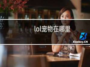 lol宠物在哪里