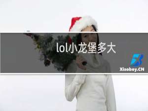 lol小龙堡多大