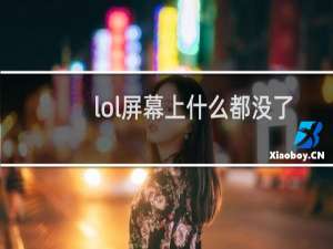 lol屏幕上什么都没了