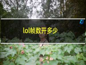 lol帧数开多少