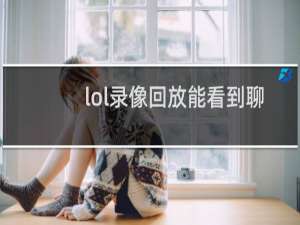 lol录像回放能看到聊天吗