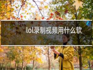 lol录制视频用什么软件好