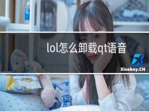lol怎么卸载qt语音