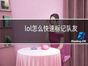 lol怎么快速标记队友存活
