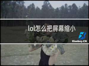 lol怎么把屏幕缩小