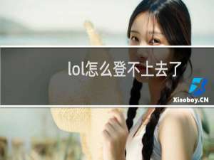 lol怎么登不上去了