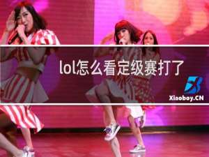 lol怎么看定级赛打了几场