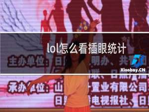 lol怎么看插眼统计