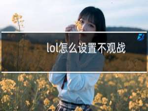 lol怎么设置不观战