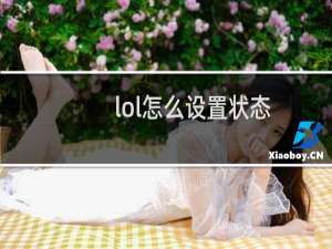 lol怎么设置状态
