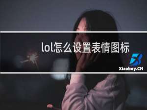lol怎么设置表情图标