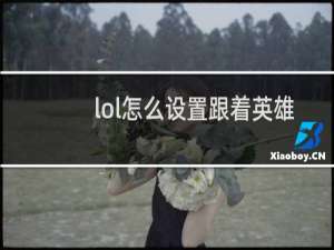 lol怎么设置跟着英雄
