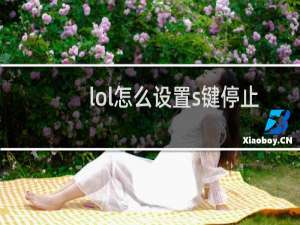 lol怎么设置s键停止