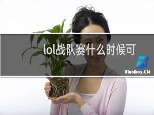 lol战队赛什么时候可以打
