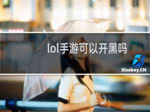 lol手游可以开黑吗