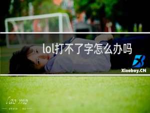 lol打不了字怎么办吗