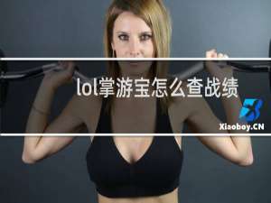 lol掌游宝怎么查战绩