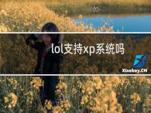 lol支持xp系统吗