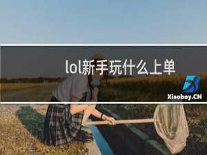 lol新手玩什么上单