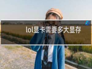 lol显卡需要多大显存