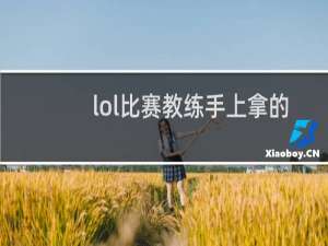 lol比赛教练手上拿的是什么