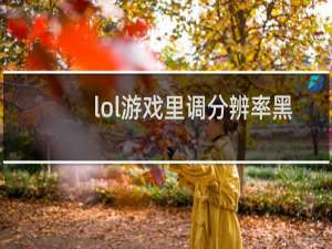 lol游戏里调分辨率黑屏了怎么办