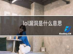 lol漏洞是什么意思