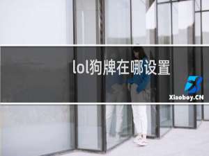lol狗牌在哪设置