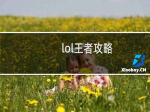 lol王者攻略
