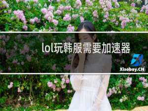 lol玩韩服需要加速器吗
