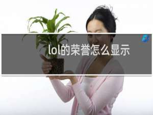 lol的荣誉怎么显示