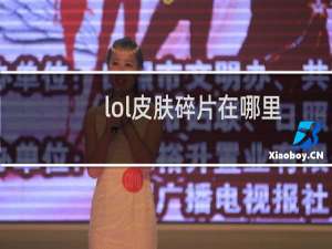 lol皮肤碎片在哪里