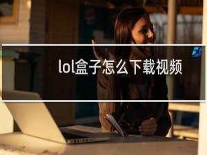 lol盒子怎么下载视频