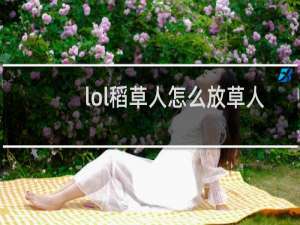 lol稻草人怎么放草人