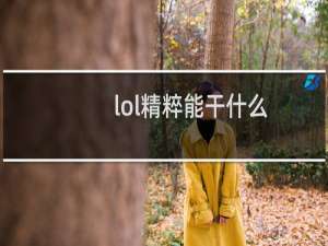 lol精粹能干什么