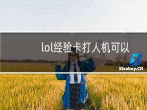 lol经验卡打人机可以么