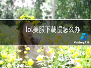 lol美服下载慢怎么办
