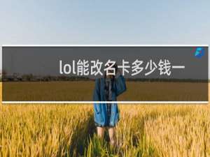 lol能改名卡多少钱一张