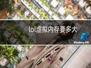 lol虚拟内存要多大