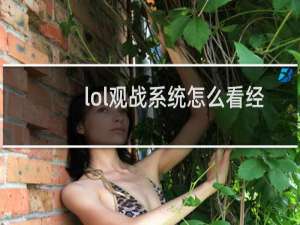 lol观战系统怎么看经济