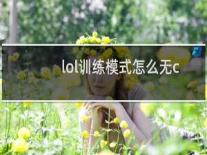 lol训练模式怎么无cd大招