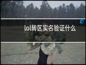 lol转区实名验证什么