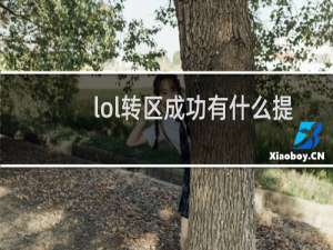lol转区成功有什么提示