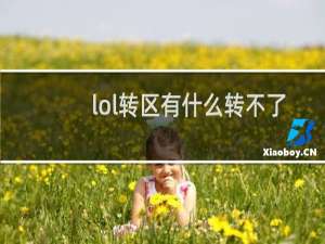 lol转区有什么转不了的