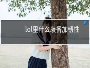 lol里什么装备加韧性